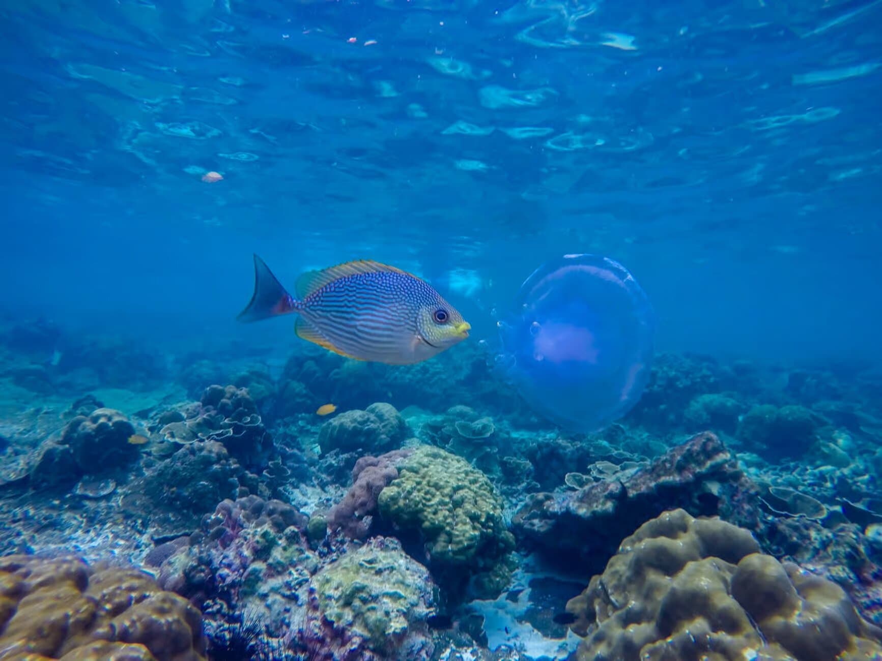 Property Image 6, Ship Image, BookMe Accommodation, Comfortable Stay, Affordable Prices.