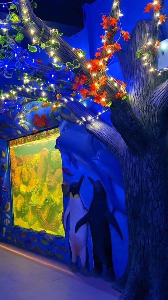 Property Image 5, Ship Image, BookMe Accommodation, Comfortable Stay, Affordable Prices.