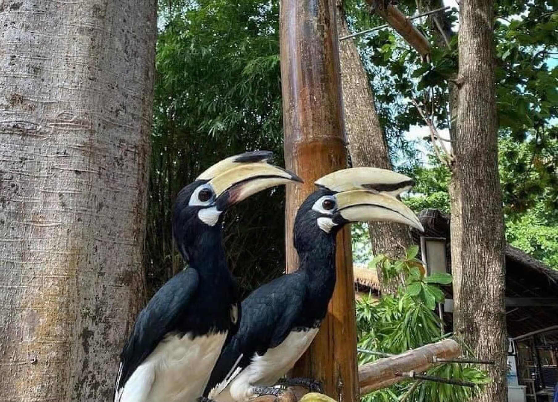 Property Image 7, Ship Image, BookMe Accommodation, Comfortable Stay, Affordable Prices.