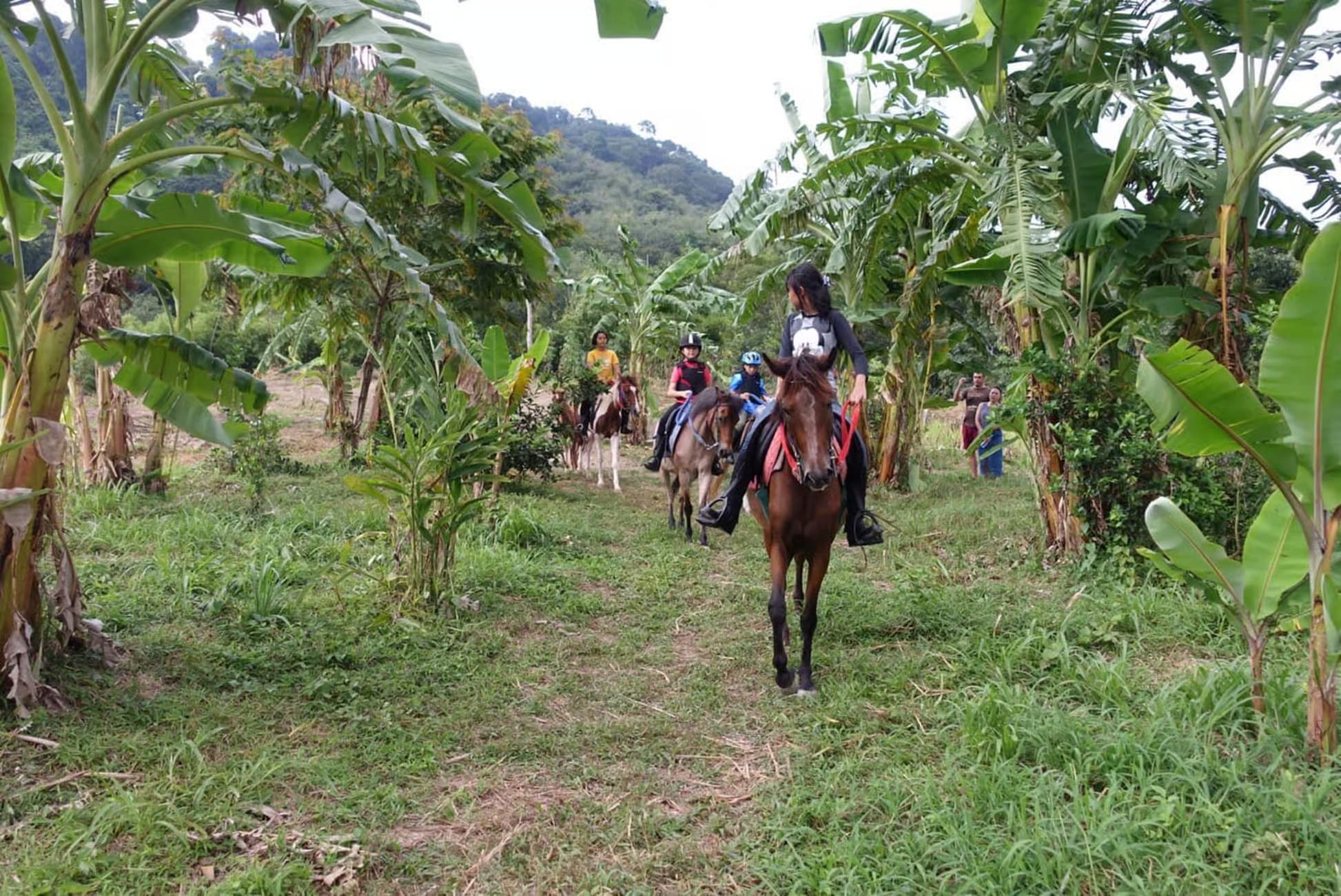 Property Image 2, Ship Image, BookMe Accommodation, Comfortable Stay, Affordable Prices.