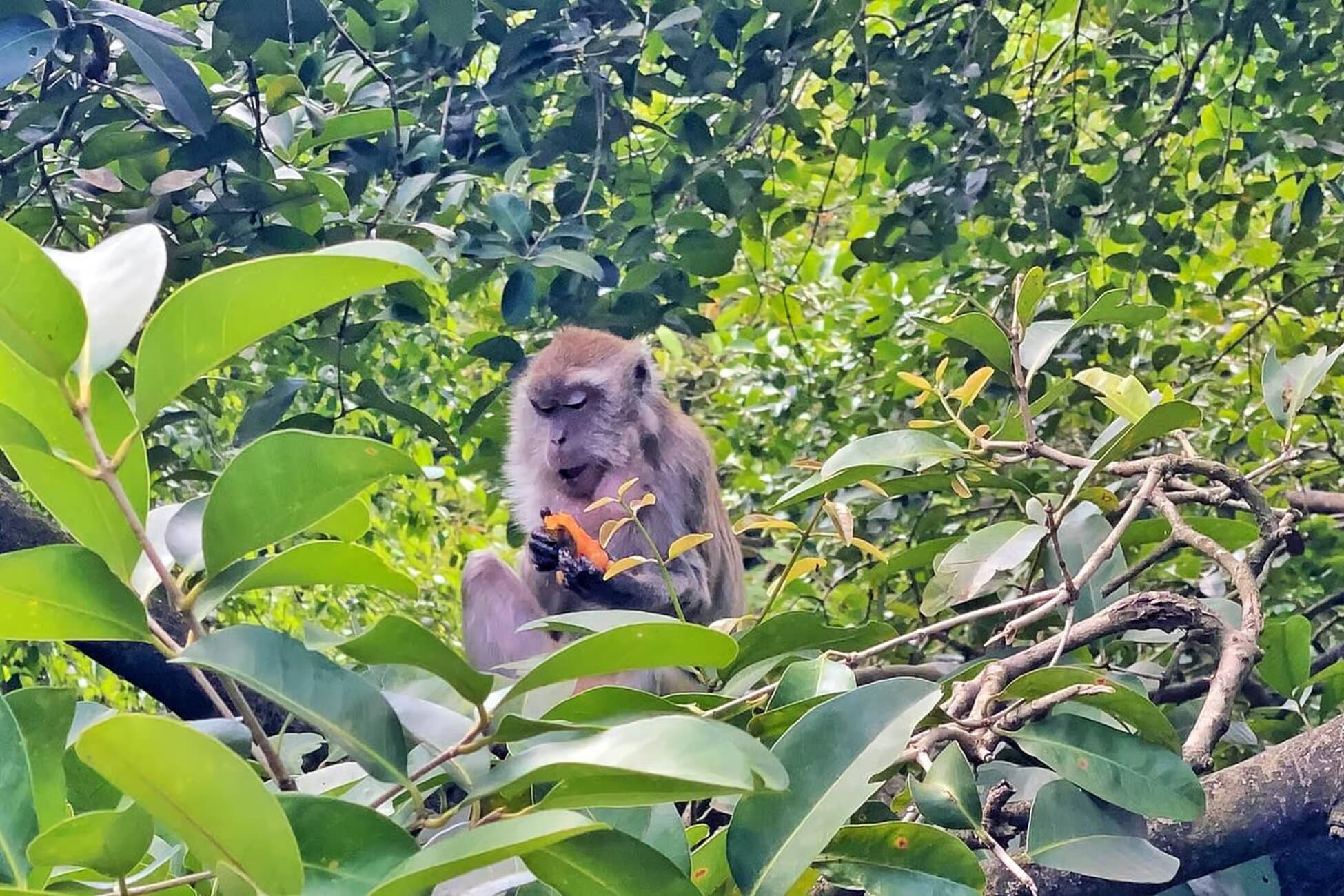 Property Image 4, Ship Image, BookMe Accommodation, Comfortable Stay, Affordable Prices.