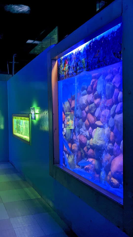 Property Image 1, Ship Image, BookMe Accommodation, Comfortable Stay, Affordable Prices.