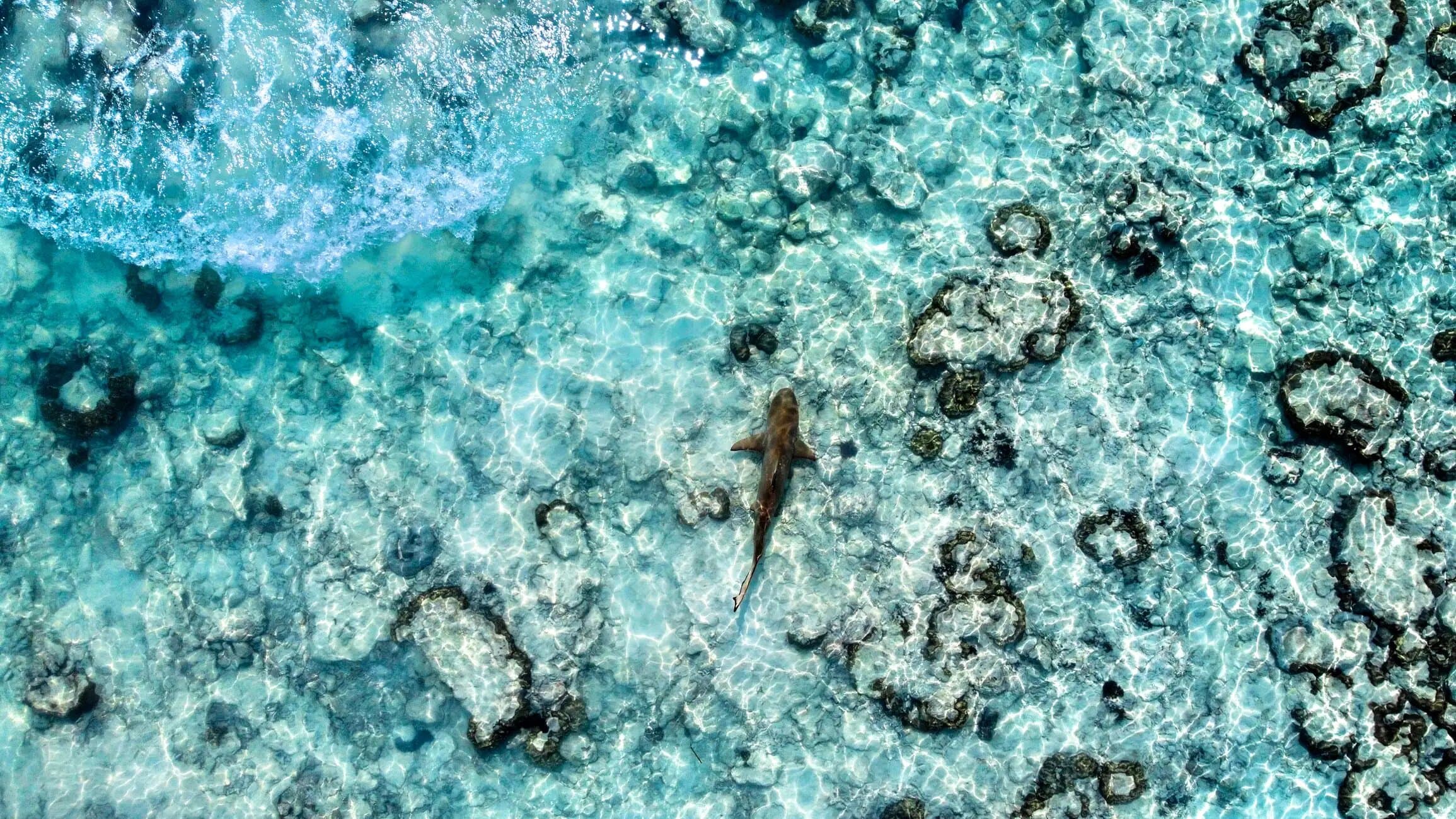 Property Image 3, Ship Image, BookMe Accommodation, Comfortable Stay, Affordable Prices.