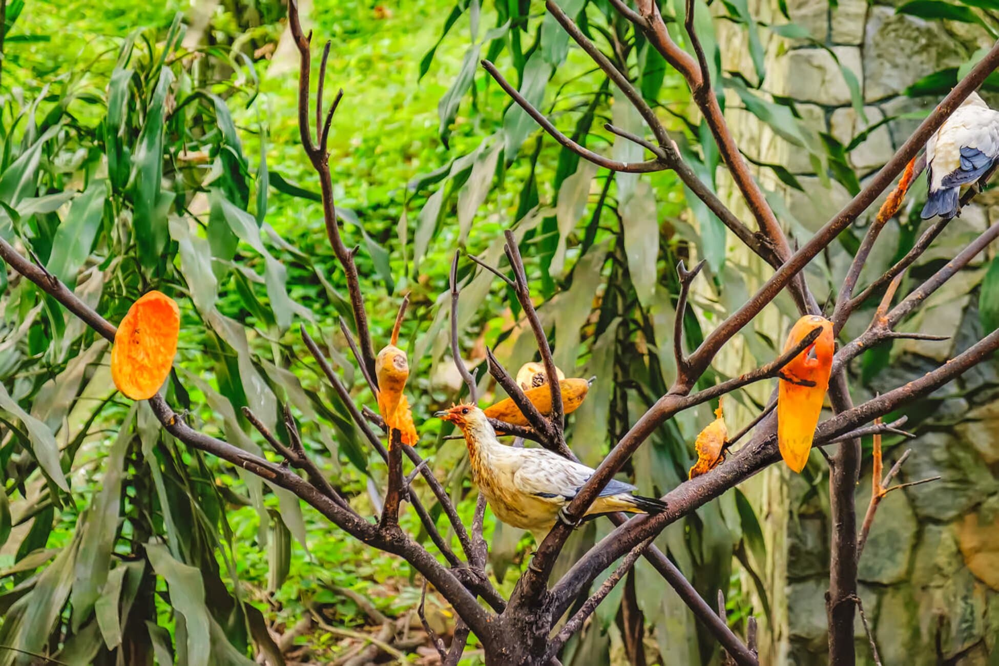 Property Image 7, Ship Image, BookMe Accommodation, Comfortable Stay, Affordable Prices.