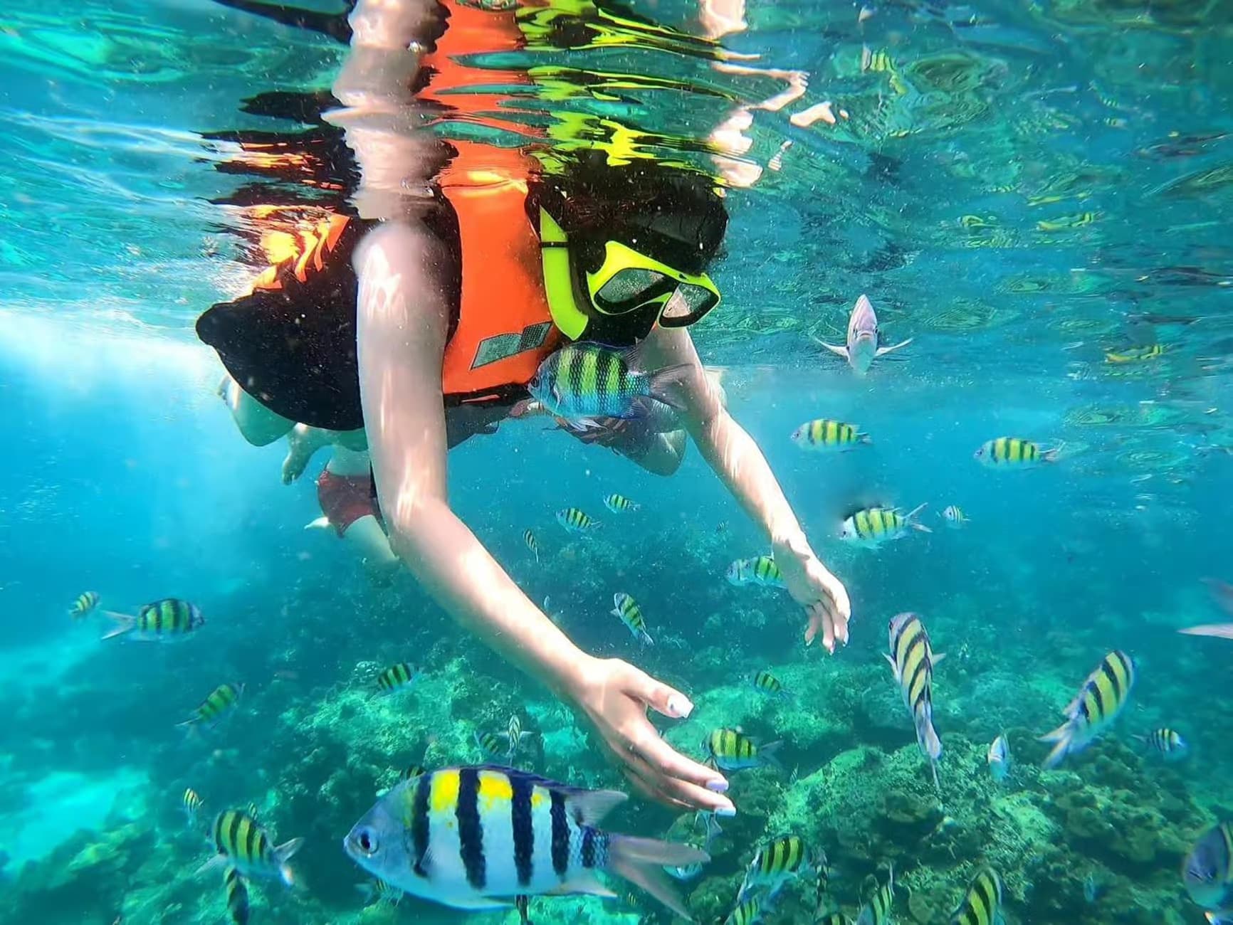 Property Image 7, Ship Image, BookMe Accommodation, Comfortable Stay, Affordable Prices.