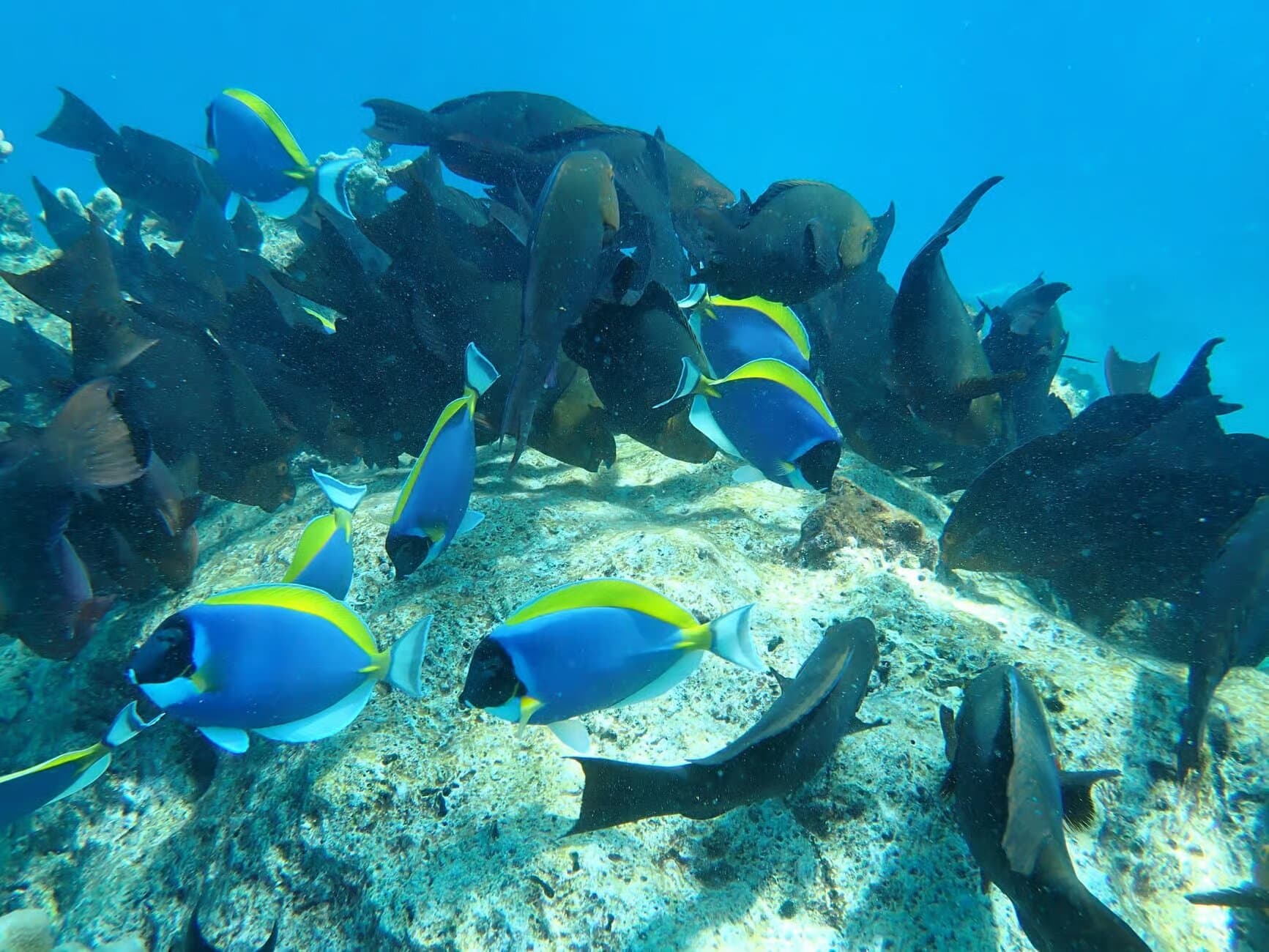 Property Image 7, Ship Image, BookMe Accommodation, Comfortable Stay, Affordable Prices.