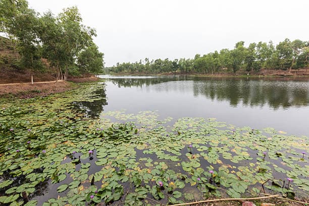 Property Image 8, Ship Image, BookMe Accommodation, Comfortable Stay, Affordable Prices.