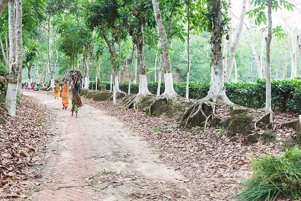 Property Image 5, Ship Image, BookMe Accommodation, Comfortable Stay, Affordable Prices.