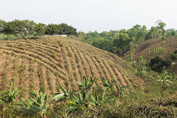 Property Image 6, Ship Image, BookMe Accommodation, Comfortable Stay, Affordable Prices.