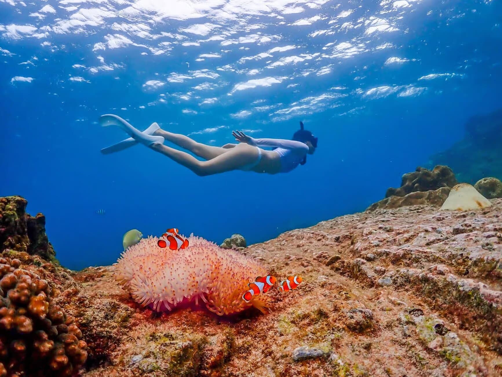 Property Image 3, Ship Image, BookMe Accommodation, Comfortable Stay, Affordable Prices.