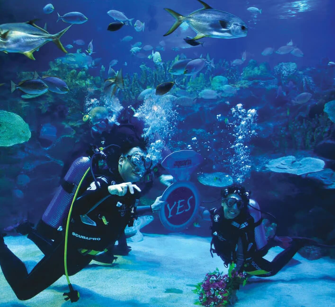 Property Image 2, Ship Image, BookMe Accommodation, Comfortable Stay, Affordable Prices.