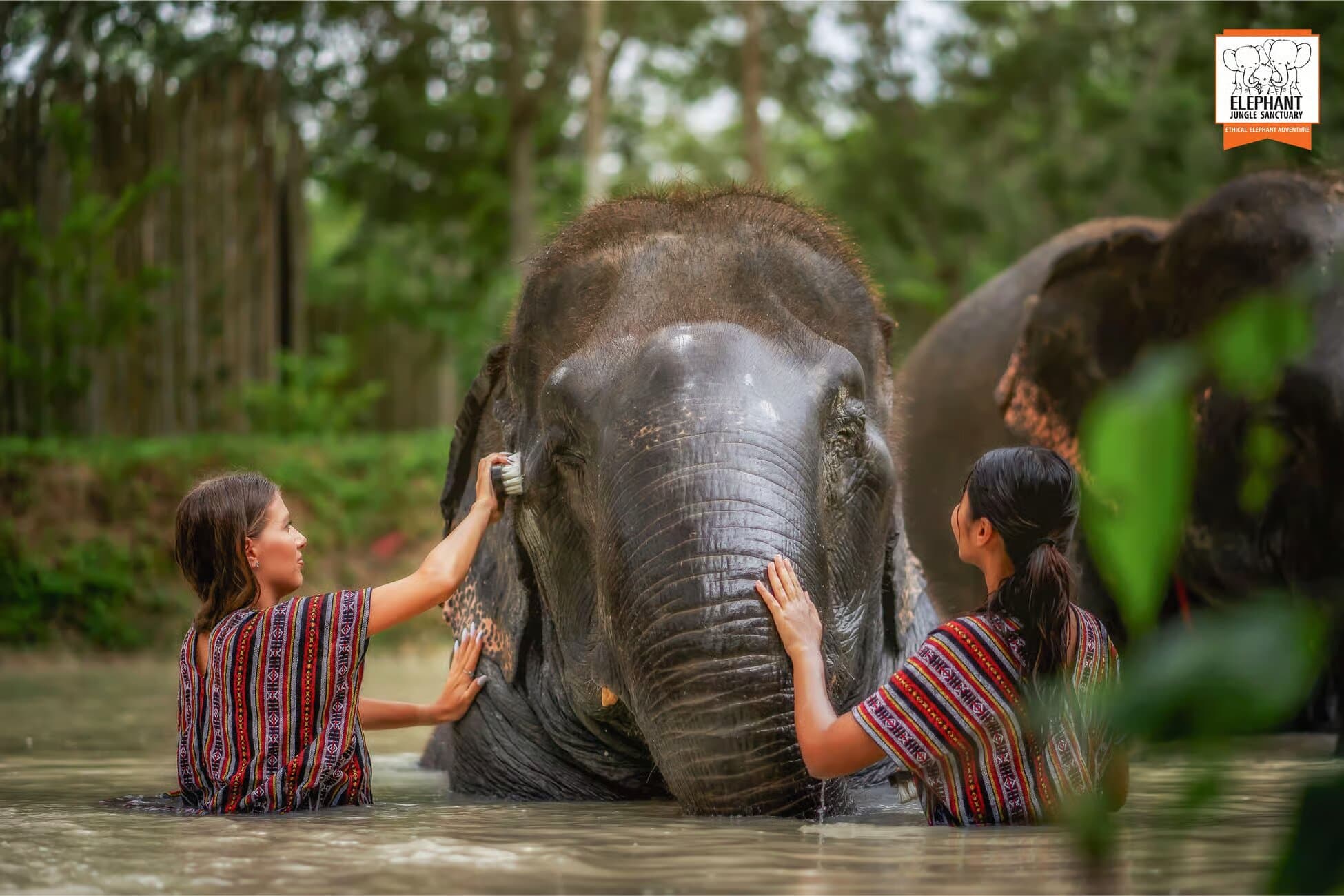 Property Image 8, Ship Image, BookMe Accommodation, Comfortable Stay, Affordable Prices.