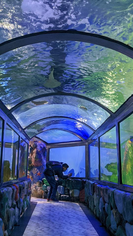 Property Image 2, Ship Image, BookMe Accommodation, Comfortable Stay, Affordable Prices.