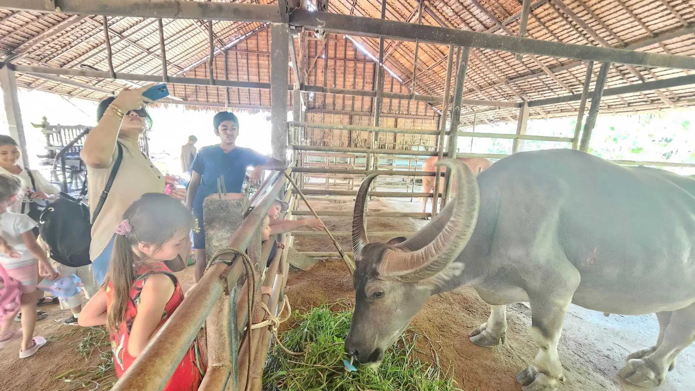 Property Image 17, Ship Image, BookMe Accommodation, Comfortable Stay, Affordable Prices.