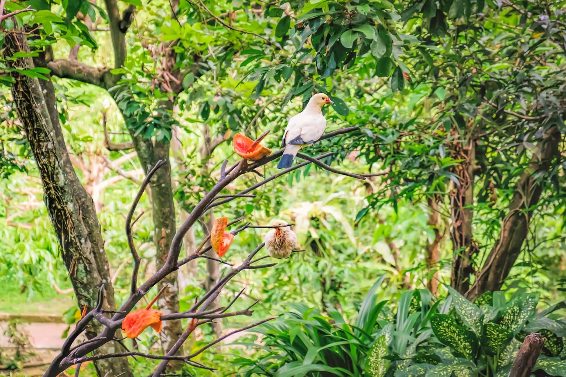 Property Image 1, Ship Image, BookMe Accommodation, Comfortable Stay, Affordable Prices.