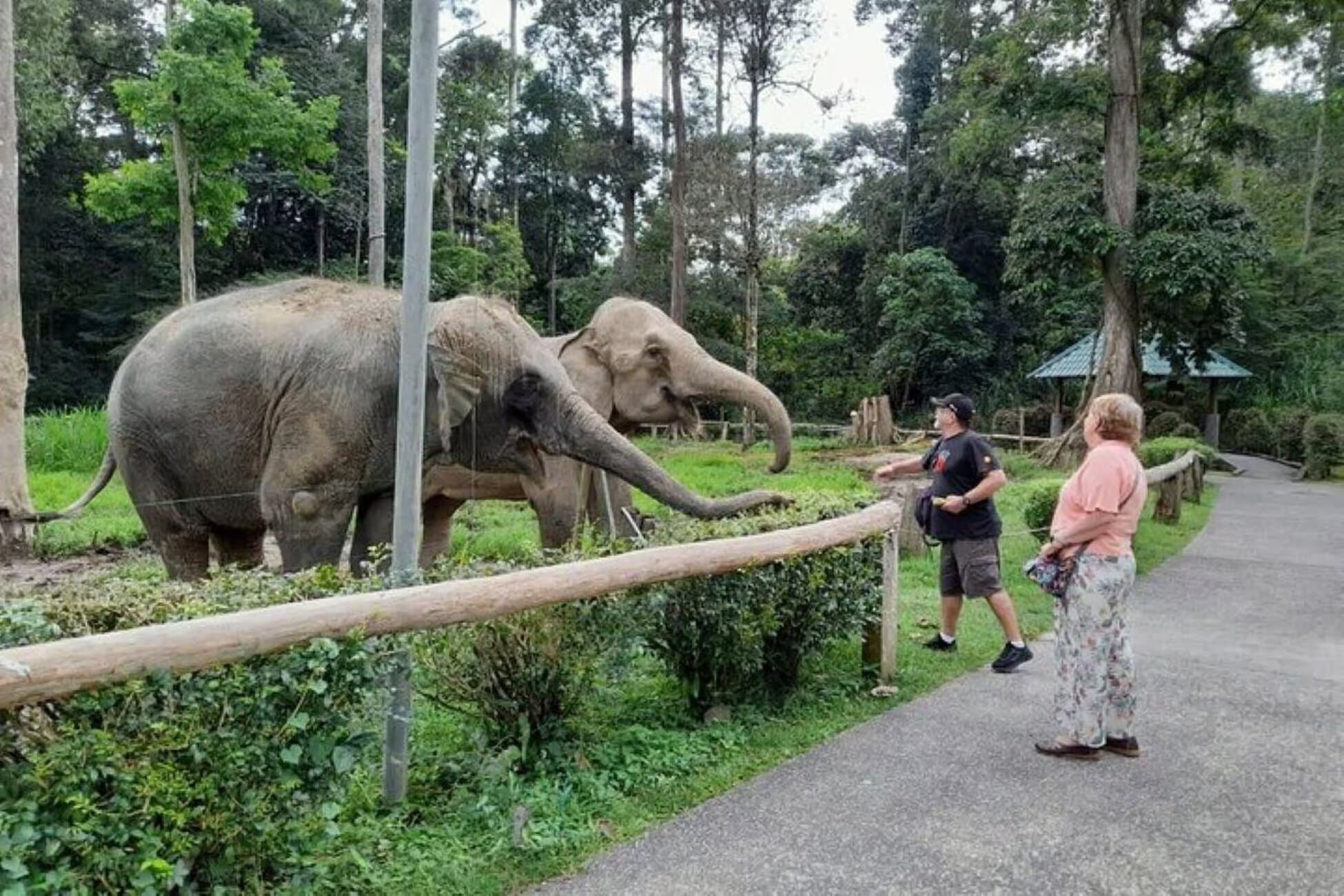 Property Image 1, Ship Image, BookMe Accommodation, Comfortable Stay, Affordable Prices.