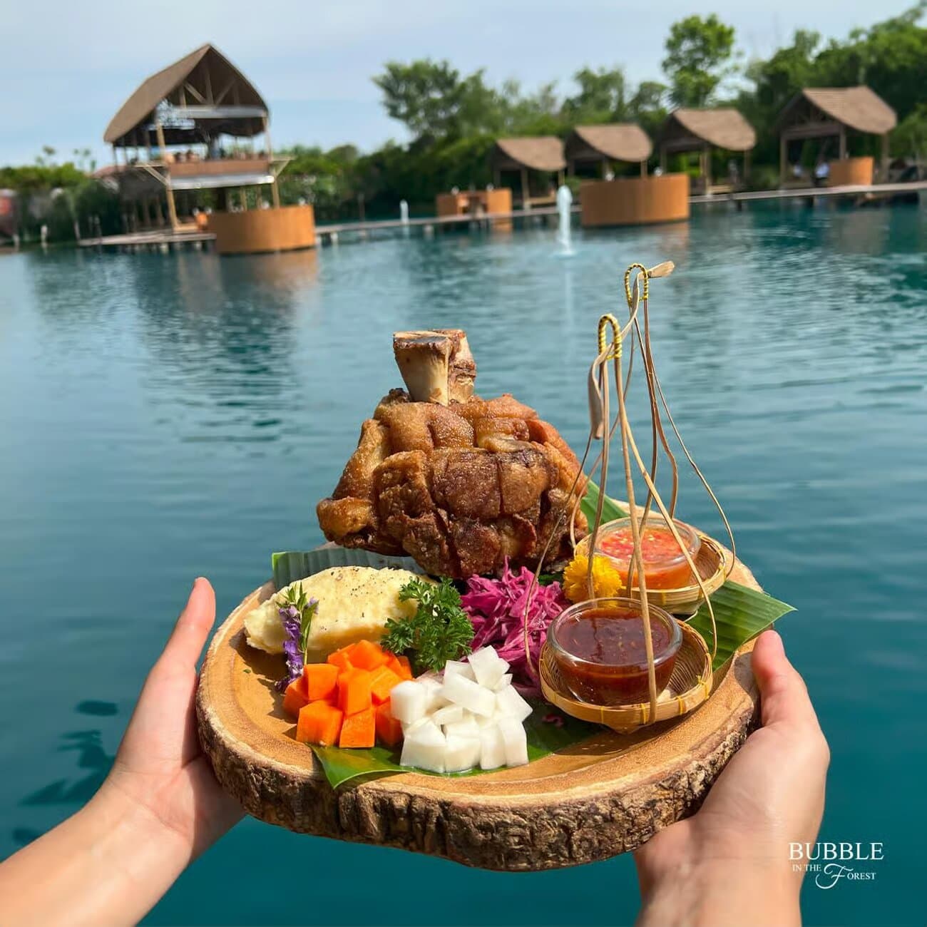 Image of Bangkok: Bubble in the Forest Cafe Food Packages tour package, BookMe Tour Package, Travel with BookMe, Exciting Tour Packages Available, Affordable Prices.