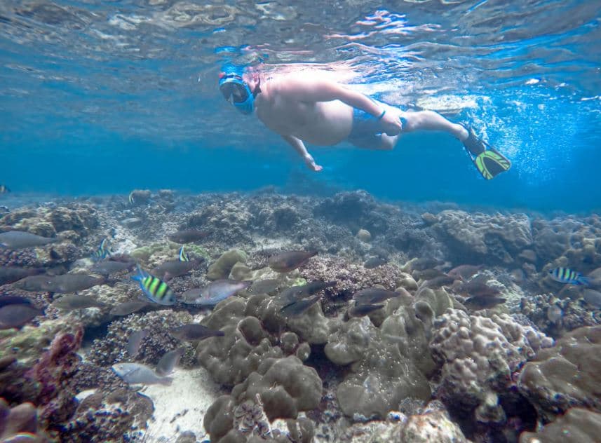 Image of Phi Phi & Bamboo Islands: Premium Day Trip w/ Seaview Lunch tour package, BookMe Tour Package, Travel with BookMe, Exciting Tour Packages Available, Affordable Prices.