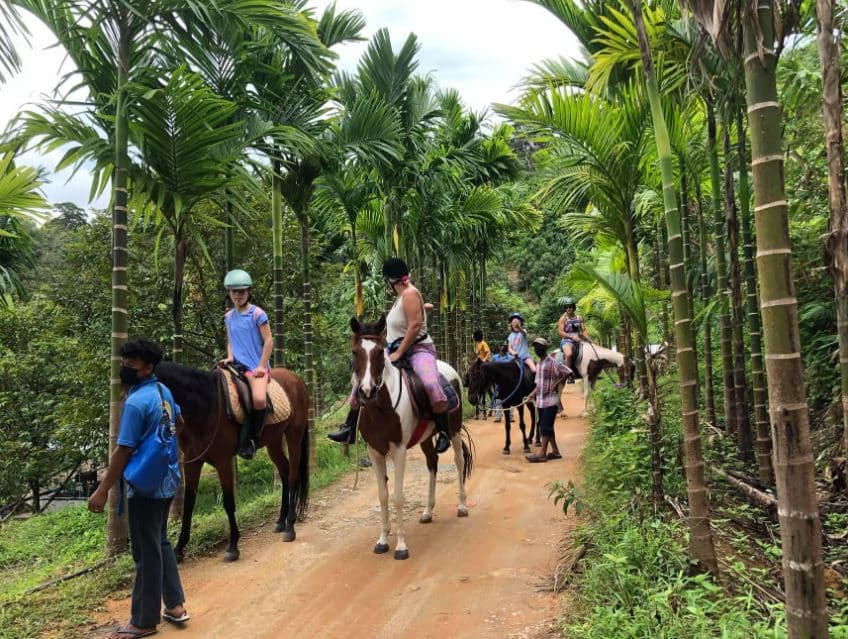 Image of Phuket Jungle Horseback Ride with Scenic Forest Views tour package, BookMe Travel Service, Exciting Tour Packages Available, Affordable Prices. Travel Activities.