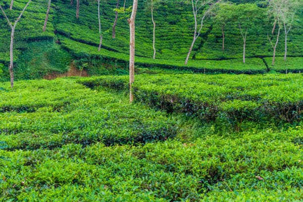 Image of Pick Up, Itinerary Activity, Travel Experience, BookMe Tours.